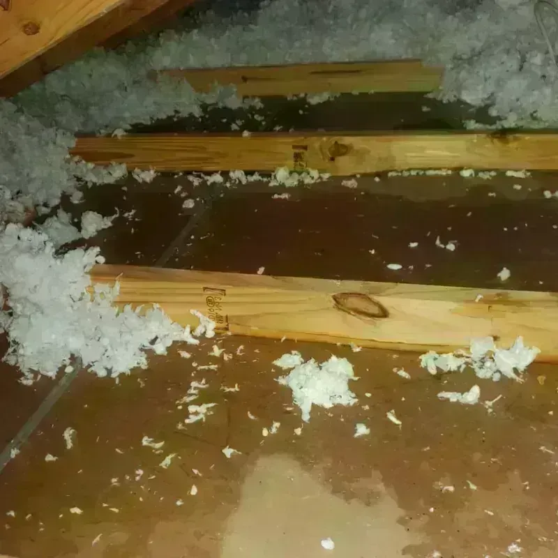 Attic Water Damage in Taft, TX